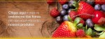 Frutas, Legumes e Verduras